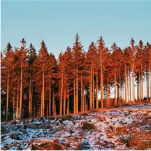 Global Destinations Website Element